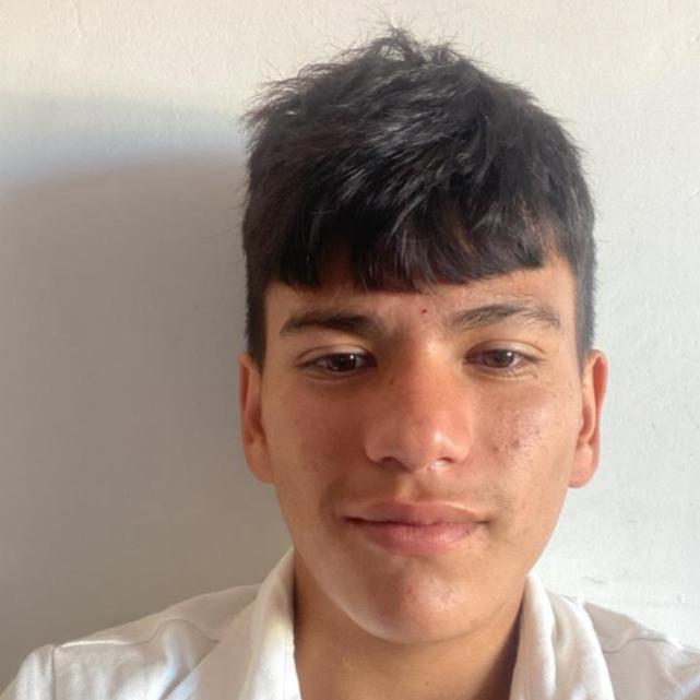 User Image